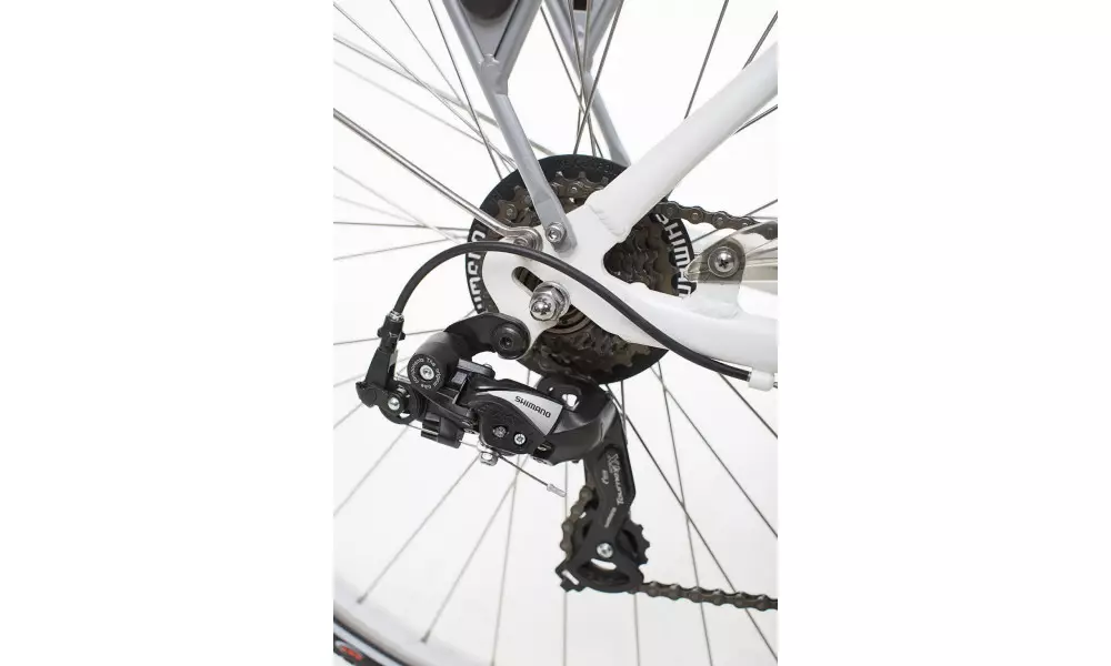 Elektriratas GEOBIKE Touring 28" - 3