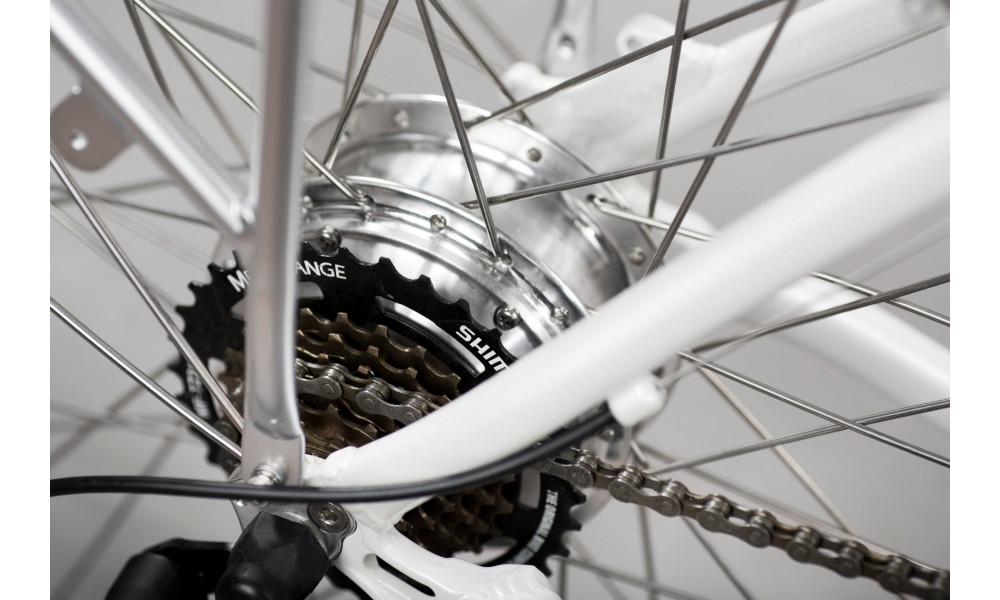 Elektriratas GEOBIKE Nordkapp 26" - 6