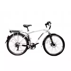 Elektriratas GEOBIKE Nordkapp 26"