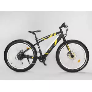 Elektriratas GEOBIKE Big Apple 26"