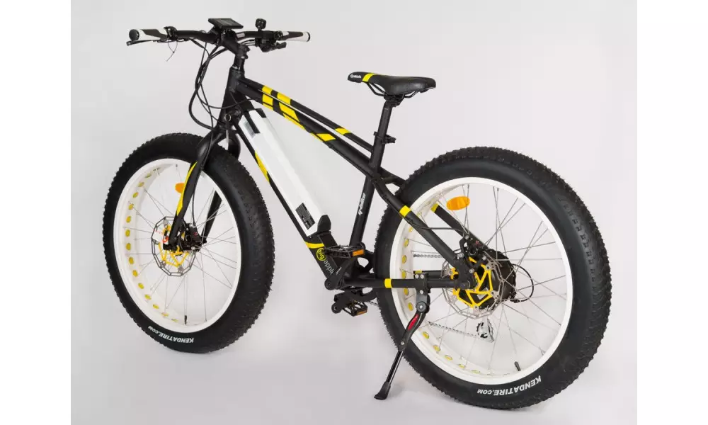 Elektriratas GEOBIKE Big Apple 26" - 3