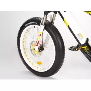 Elektriratas GEOBIKE Big Apple S 26"