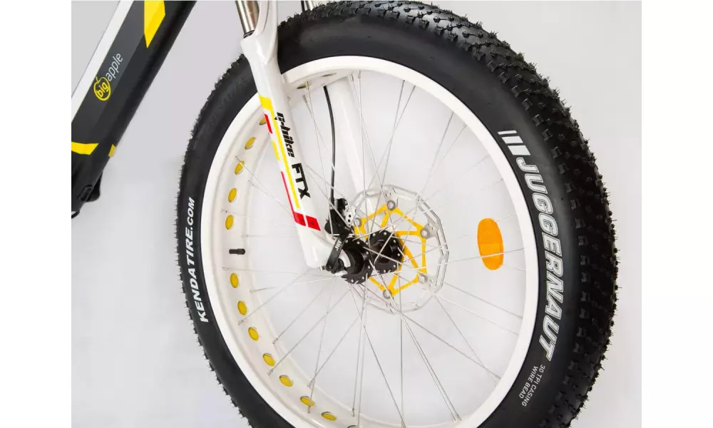 Elektriratas GEOBIKE Big Apple S 26" - 3