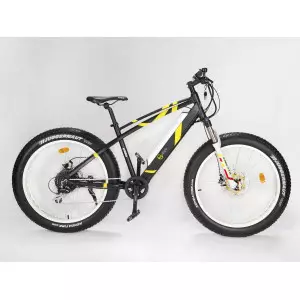 Elektriratas GEOBIKE Big Apple S 26"