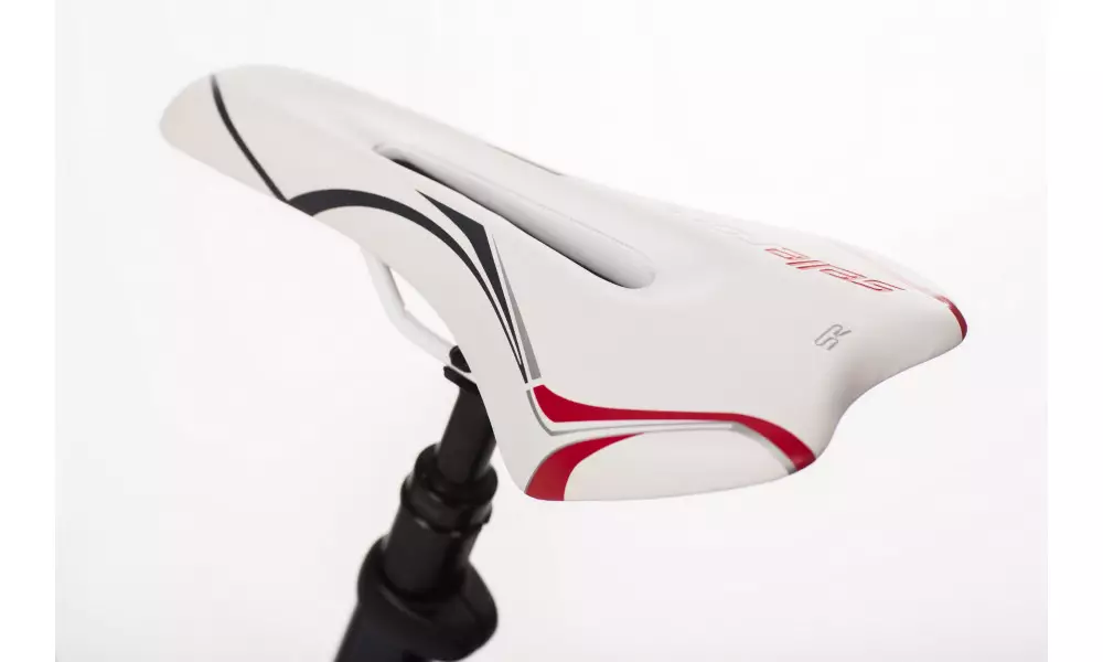 Elektriratas GEOBIKE INFINITI Performance 28" - 4