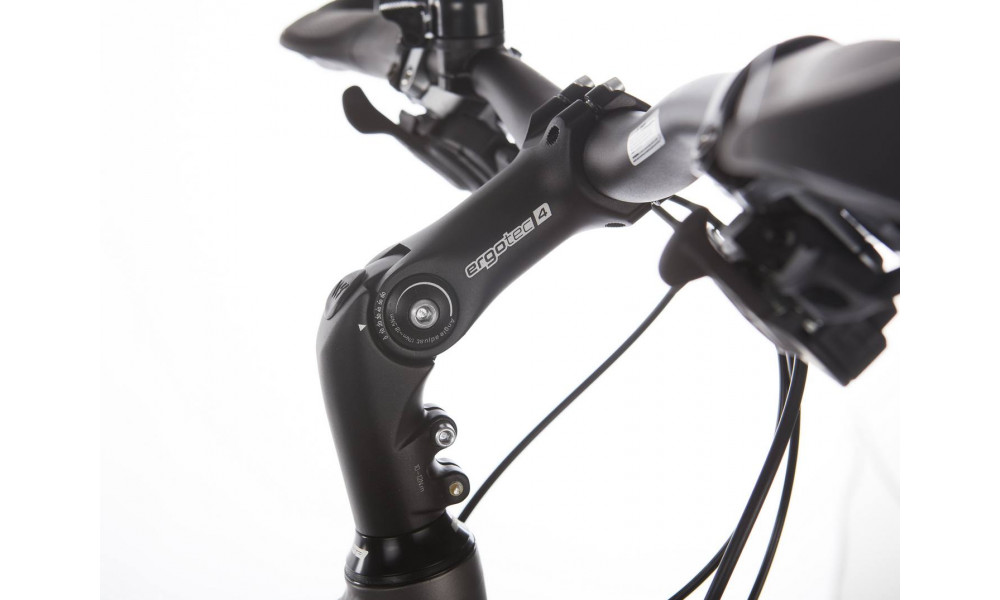 Jalgratas UNIBIKE Globetrotter GTS 28 2018 - 7