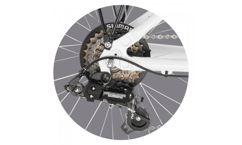 Jalgratas PUKY Skyride 20-6 Alu white - 3