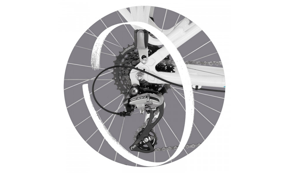 Jalgratas PUKY Skyride 24-8 Alu Light white - 3