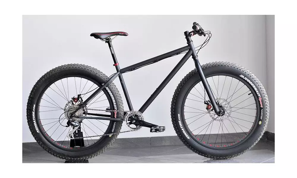 Jalgratas FAT BIKE First 2016 - 1