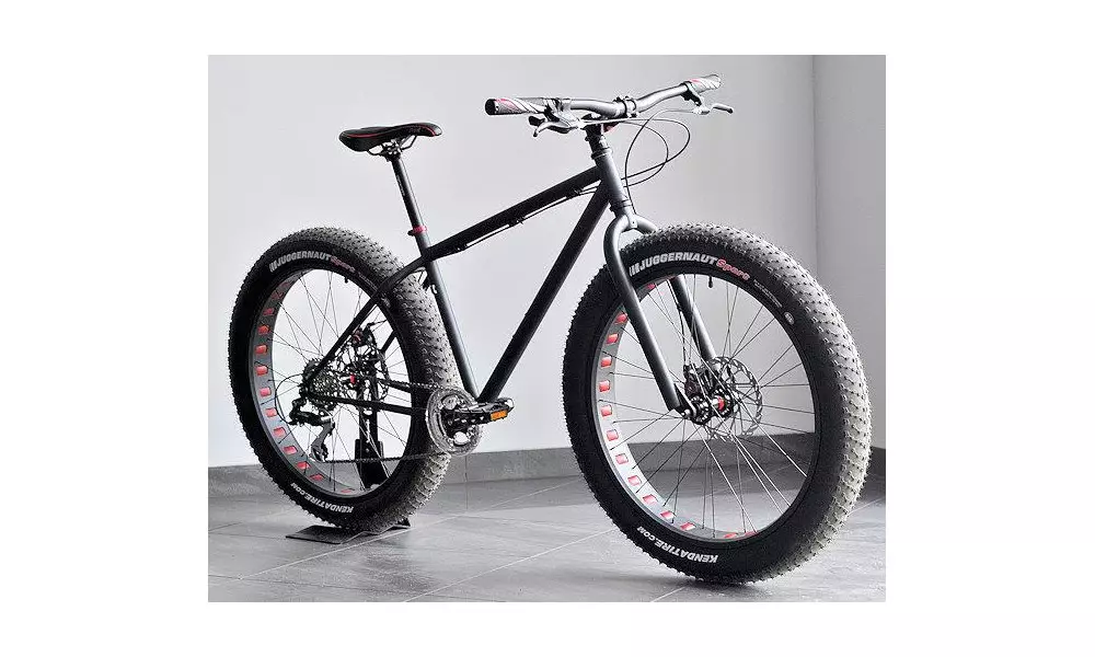 Jalgratas FAT BIKE First 2016 - 2