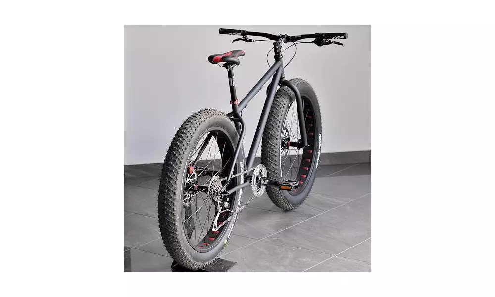 Jalgratas FAT BIKE First 2016 - 3