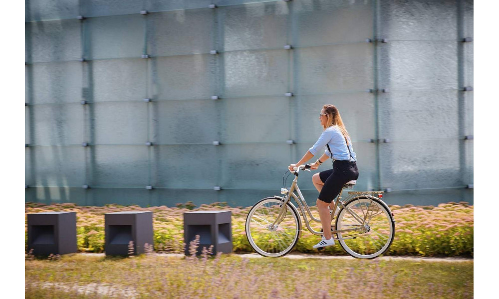 Jalgratas Romet Luiza 28" 3S 2020 champagne - 2