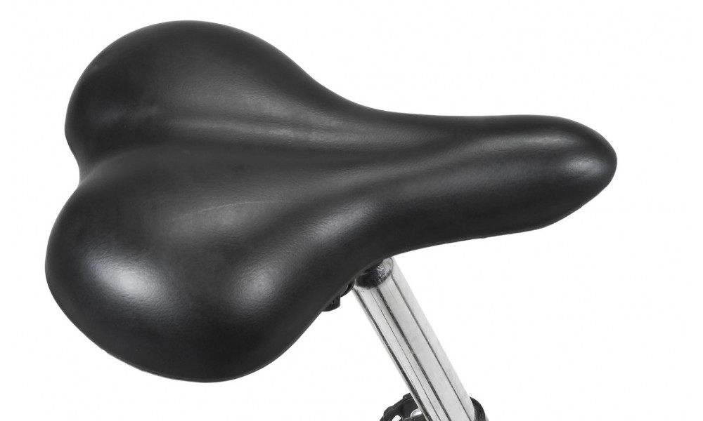 Jalgratas AZIMUT Fold 20" 2025 black - 8