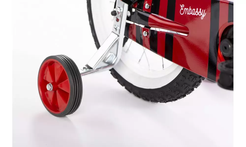 Ratas Embassy Wild Kiddo 14" 2022 - 5