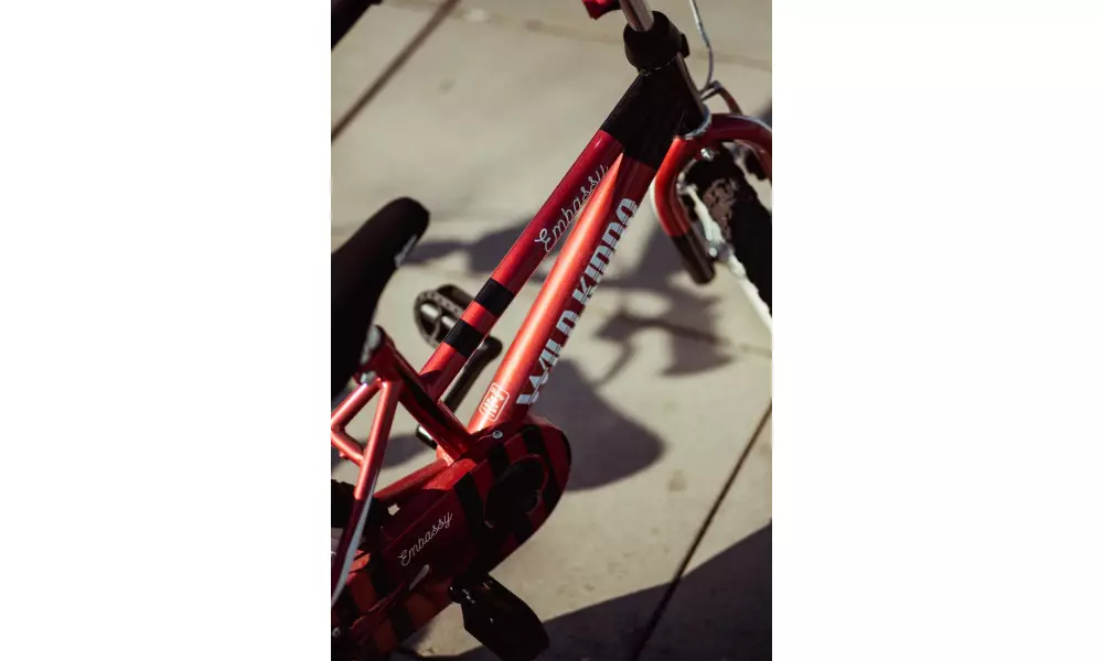 Ratas Embassy Wild Kiddo 14" 2022 - 10