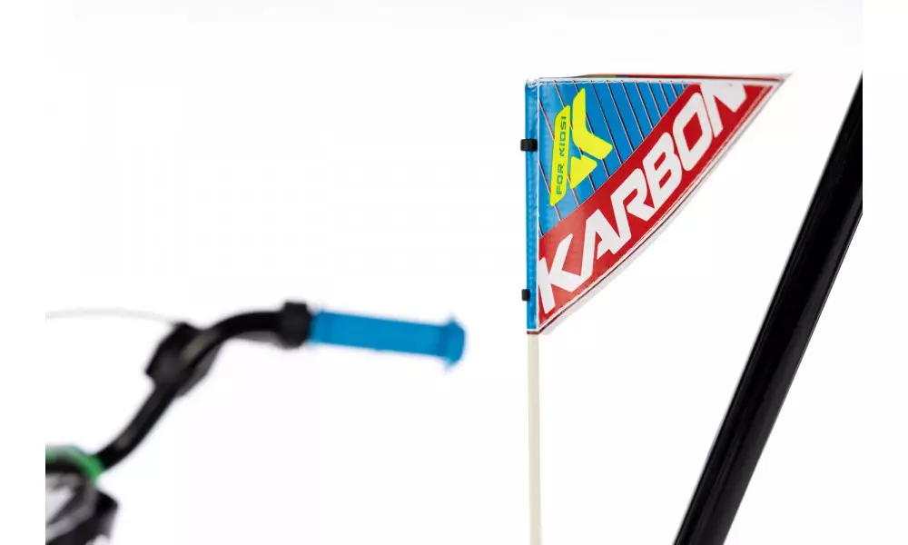 Jalgratas Karbon Alvin 18 green-blue - 6