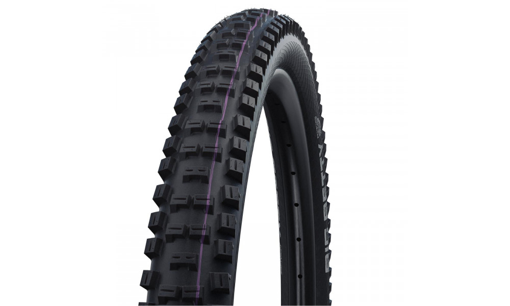 Väliskumm 29" Schwalbe Big Betty HS 608 Evo Fold TLE 62-622 / 29x2.40 SD Addix Ultra Soft 