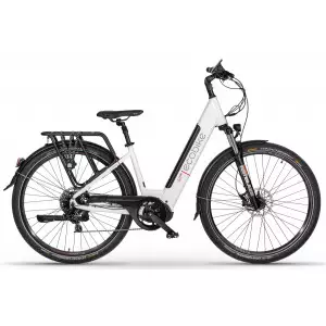 Elektrijalgratas Ecobike LX 300 28" 48V