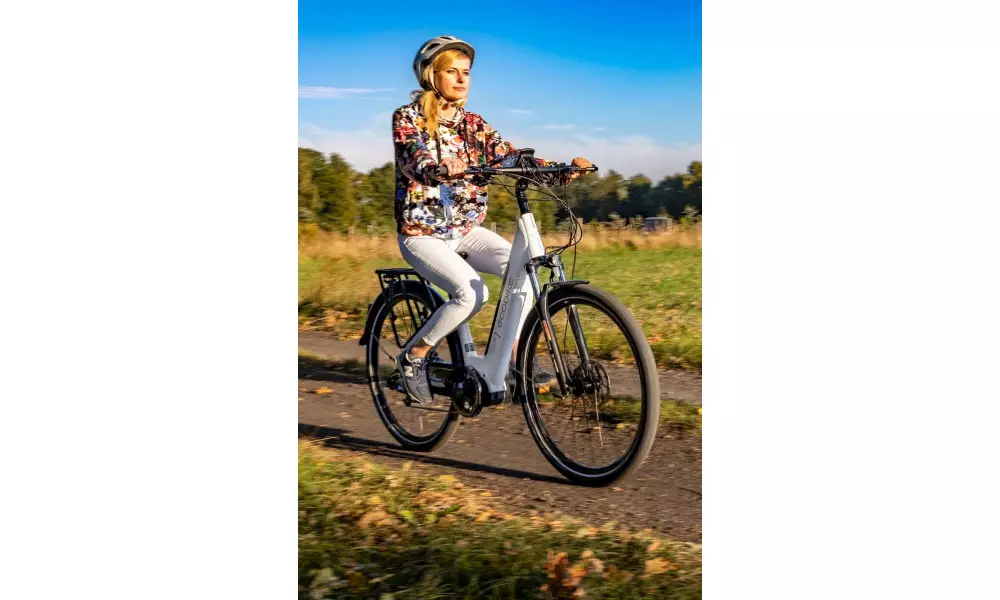 Elektrijalgratas Ecobike LX 300 28" 48V - 5