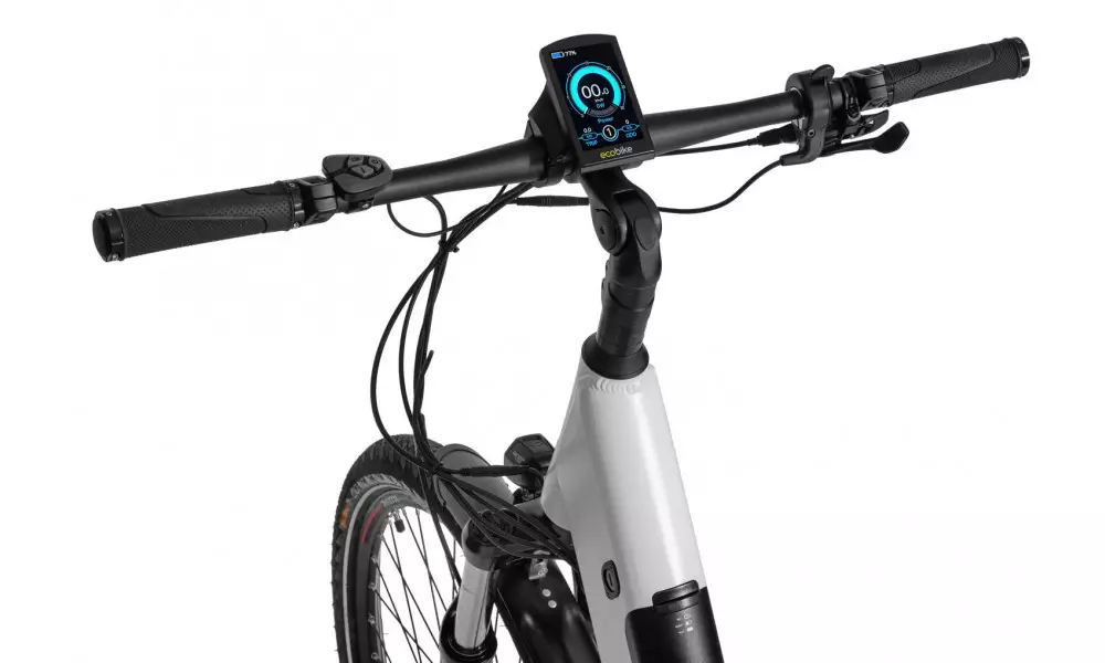 Elektrijalgratas Ecobike LX 300 28" 48V - 11