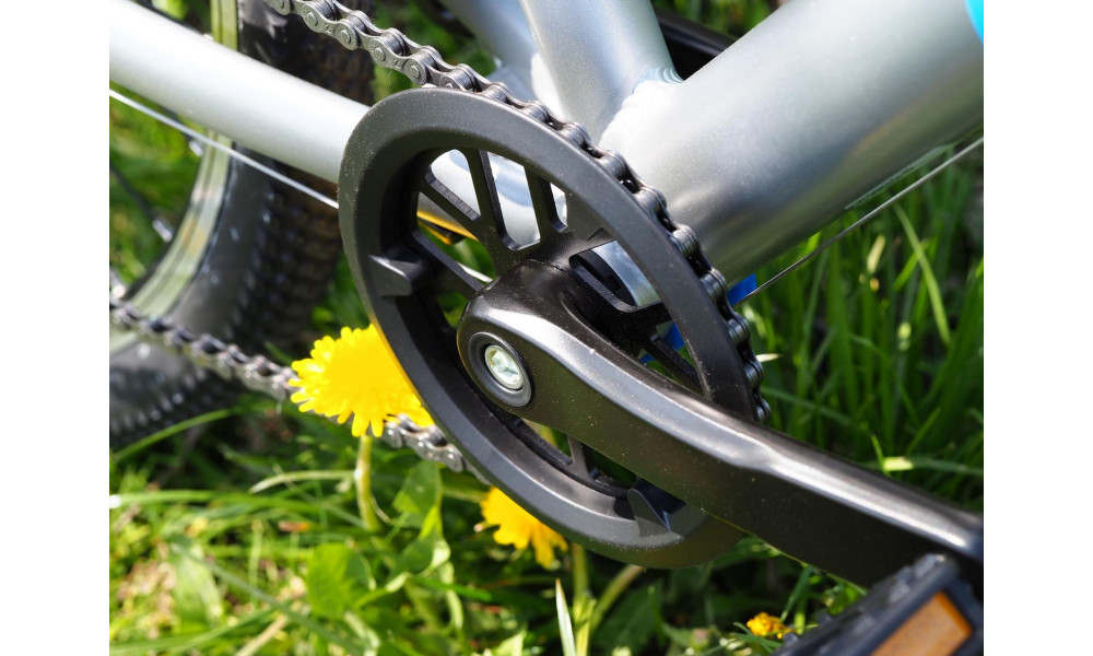 Dviratis PUKY LS-PRO 26-8 Alu silver/blue - 6