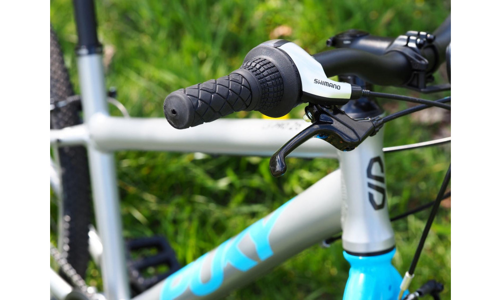 Dviratis PUKY LS-PRO 26-8 Alu silver/blue - 9