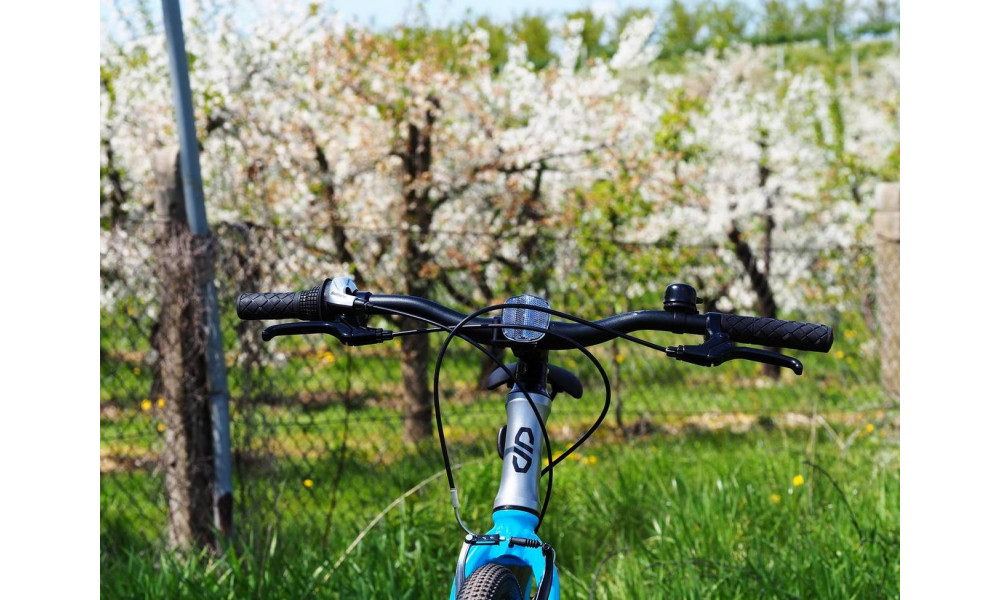 Dviratis PUKY LS-PRO 26-8 Alu silver/blue - 10