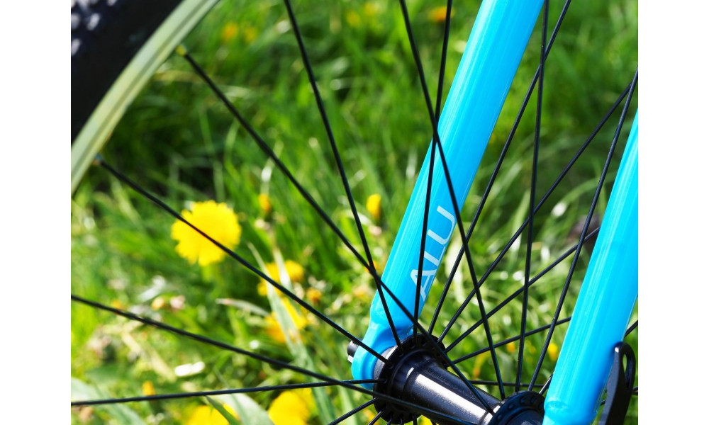 Dviratis PUKY LS-PRO 26-8 Alu silver/blue - 12