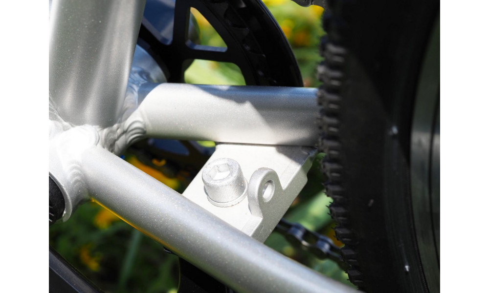 Dviratis PUKY LS-PRO 26-8 Alu silver/blue - 20