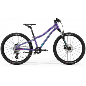 Jalgratas Merida MATTS J.24 dark purple