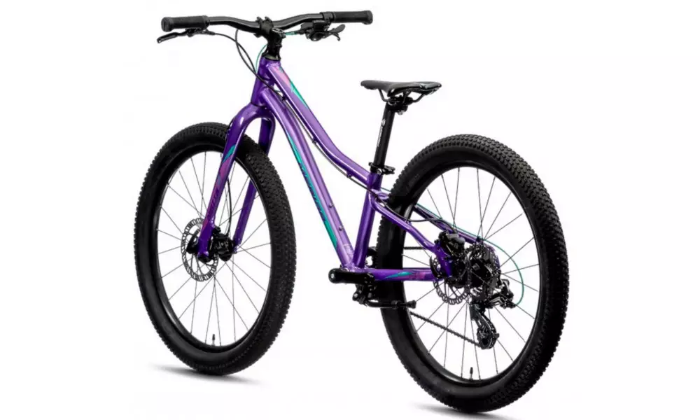 Jalgratas Merida MATTS J.24+ dark purple - 2