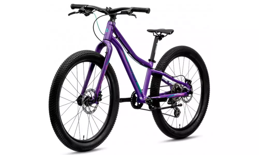 Jalgratas Merida MATTS J.24+ dark purple - 4