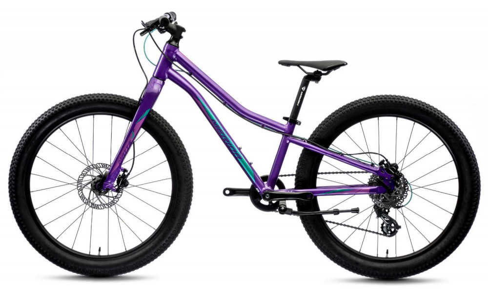 Jalgratas Merida MATTS J.24+ dark purple - 5