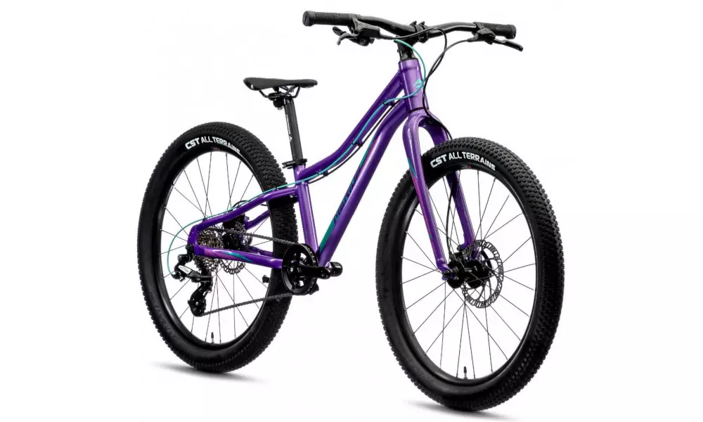 Jalgratas Merida MATTS J.24+ dark purple - 6