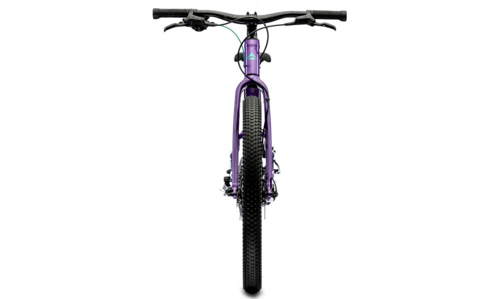 Jalgratas Merida MATTS J.24+ dark purple - 7