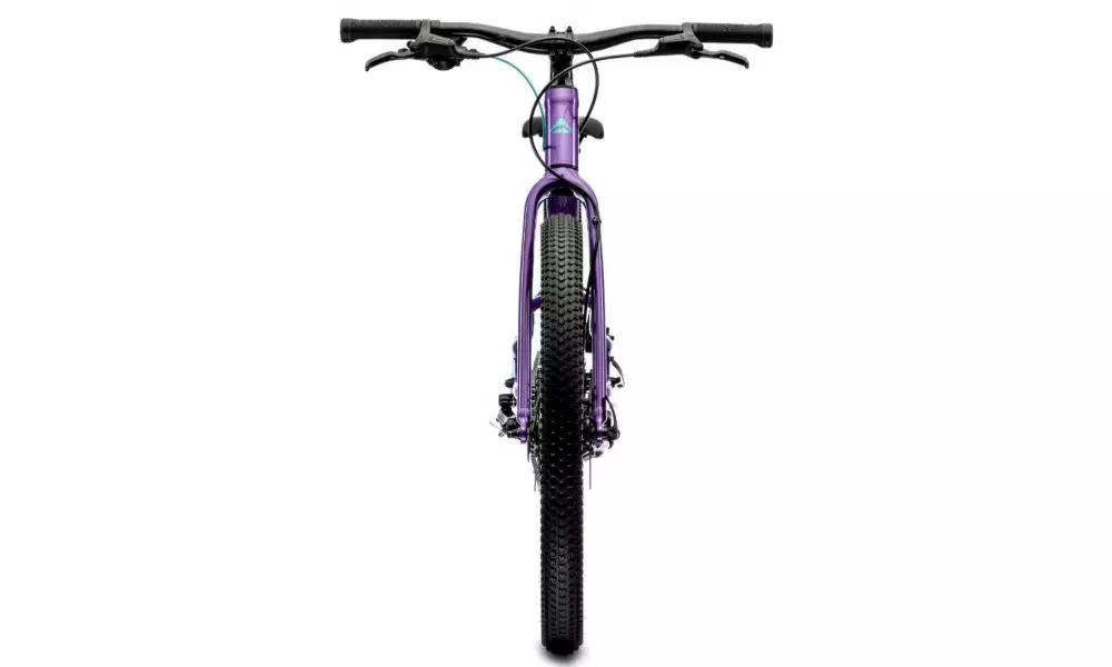 Jalgratas Merida MATTS J.24+ dark purple - 7