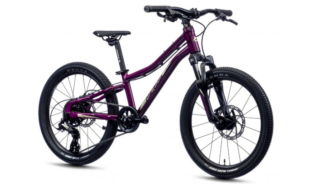 Jalgratas Merida MATTS J.20 purple - 1