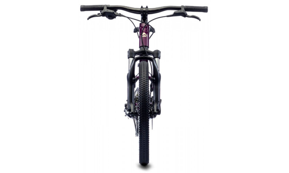 Jalgratas Merida MATTS J.20 purple - 2