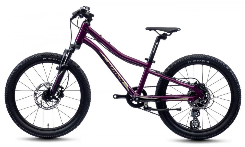 Jalgratas Merida MATTS J.20 purple - 4