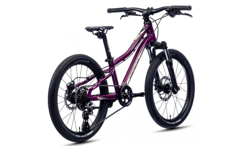 Jalgratas Merida MATTS J.20 purple - 5