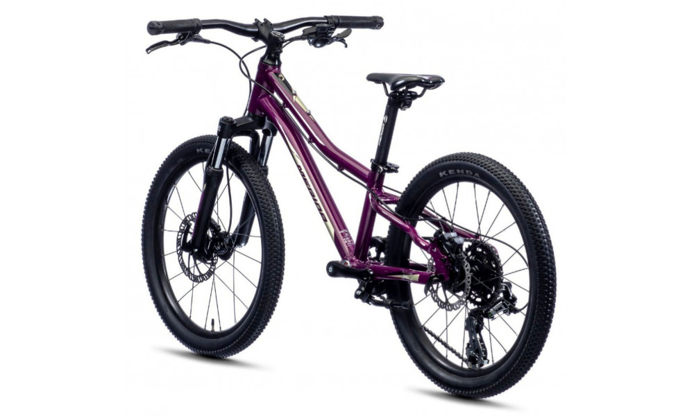 Jalgratas Merida MATTS J.20 purple - 6