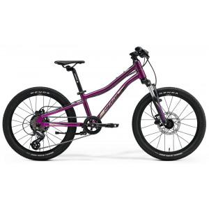 Jalgratas Merida MATTS J.20 purple