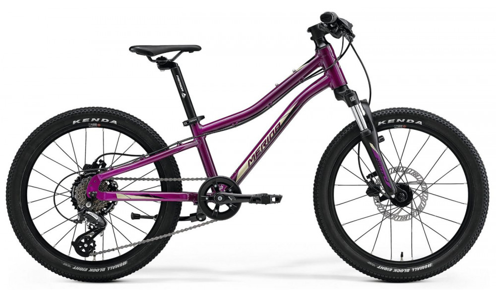 Jalgratas Merida MATTS J.20 purple - 7