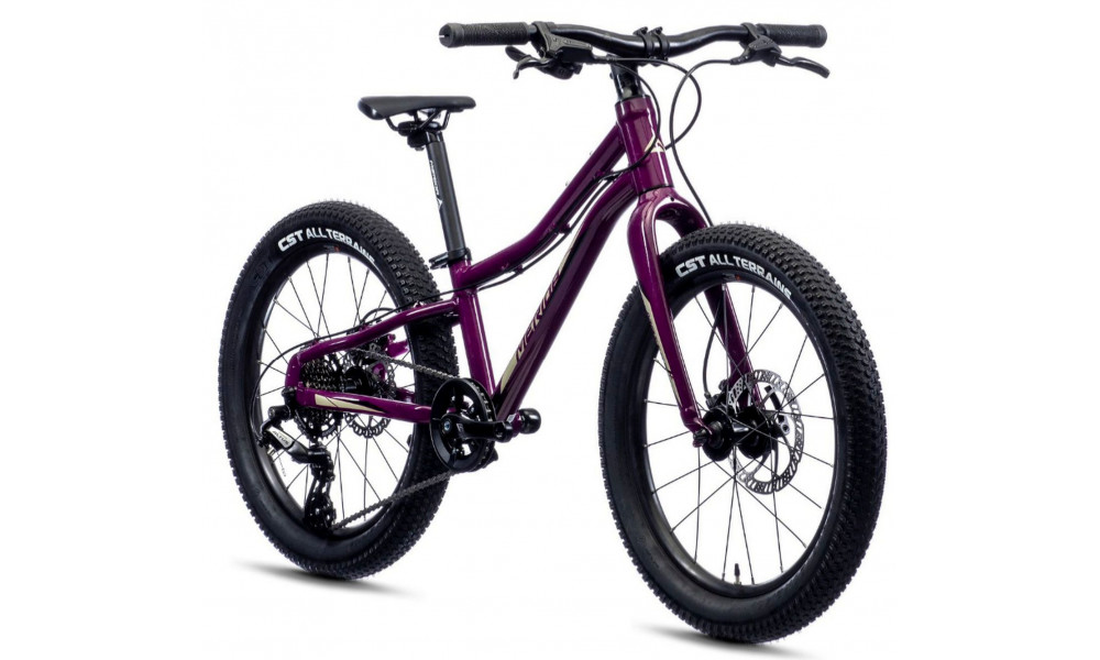 Jalgratas Merida MATTS J.20+ purple - 1