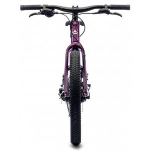 Jalgratas Merida MATTS J.20+ purple