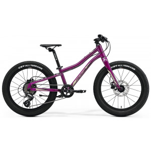 Jalgratas Merida MATTS J.20+ purple