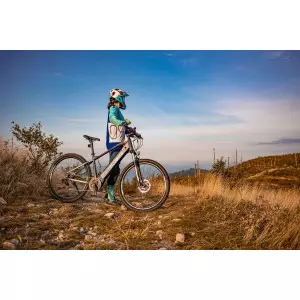 Elektrijalgratas Ecobike SX 300 29" 48V blue