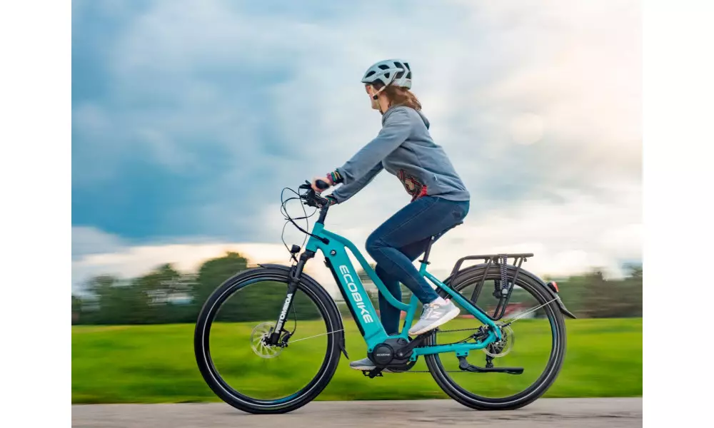 Elektrijalgratas Ecobike LX 500 28" 48V - 2