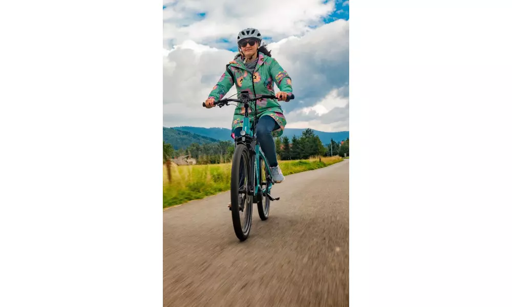 Elektrijalgratas Ecobike LX 500 28" 48V - 3