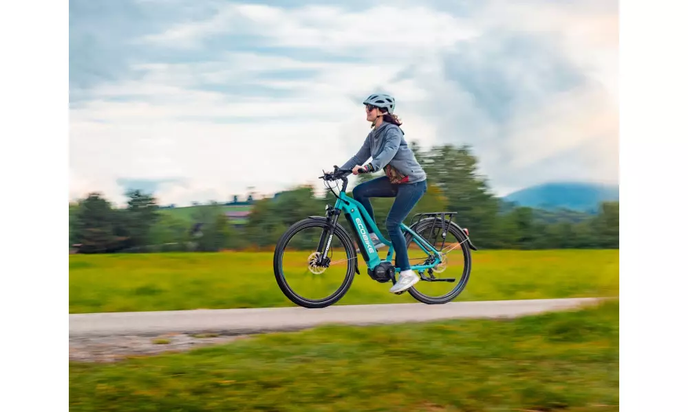 Elektrijalgratas Ecobike LX 500 28" 48V - 6